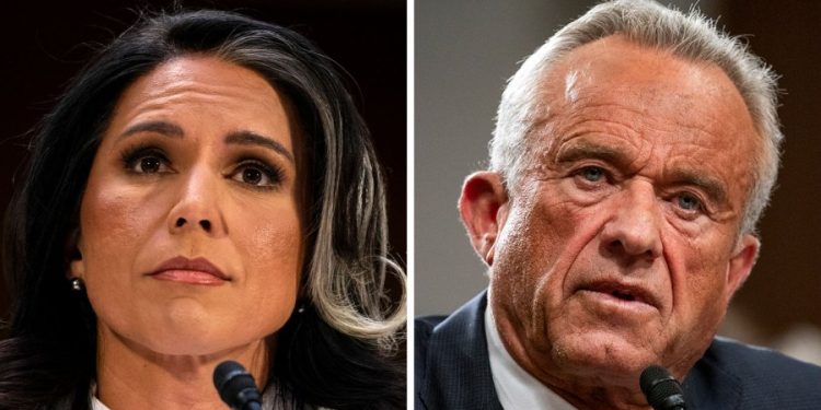 Gabbard, RFK Jr. face make-or-break moment after perilous hearings