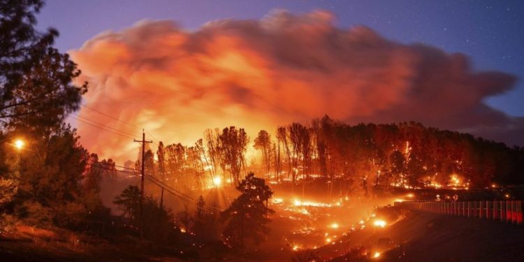 Wildfires are complicating cancer care: Study