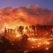 Wildfires are complicating cancer care: Study