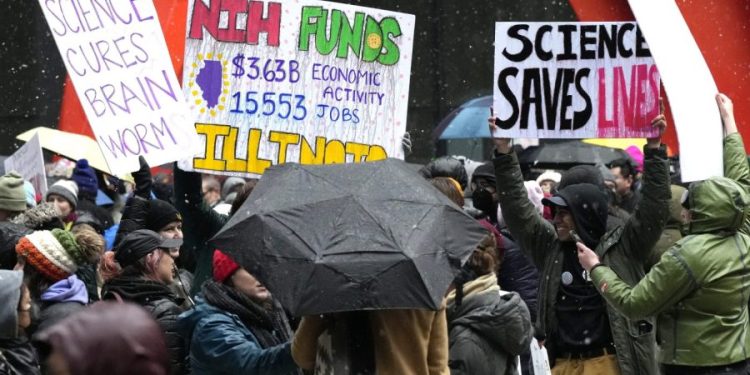 Scientists rally in DC against Trump’s cuts to research