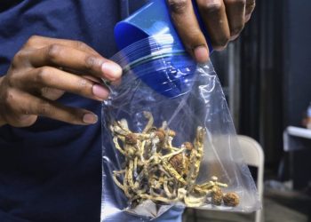 Iowa House passes measure legalizing psilocybin use