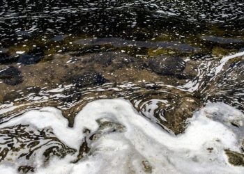 Trump administration plans to limit ‘forever chemical’ discharges