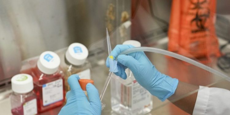 Universities struggle to keep cancer research afloat amid Trump funding cuts