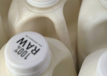 Bird flu can live in raw milk for more than a week, study finds