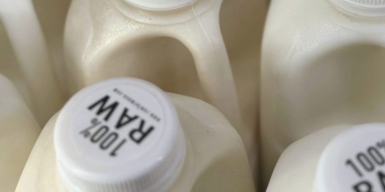 Bird flu can live in raw milk for more than a week, study finds