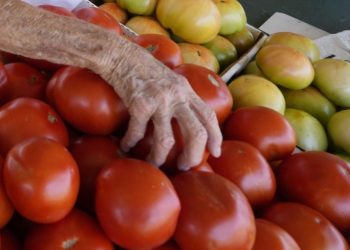 FDA upgrades tomato recall warning to most severe level