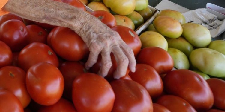FDA upgrades tomato recall warning to most severe level