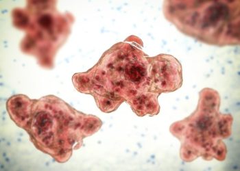 Woman dies from brain-eating amoeba after using tap water to clear sinuses: CDC