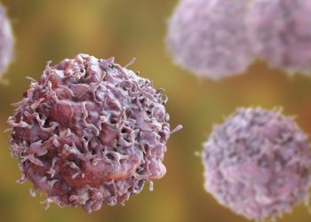 Researchers turn a toxic fungus into cancer-fighting drug