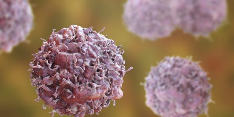 Researchers turn a toxic fungus into cancer-fighting drug