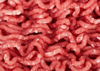 Ground beef sold nationwide possibly contaminated with E. coli