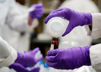 Gut microbes could offer protection from toxic ‘forever chemicals’: Study