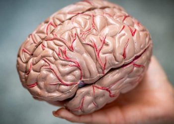 New brain implants poised to help people with disabilities