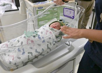 Few see falling birth rates as a priority: Survey