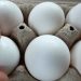 Eating eggs weekly may lower Alzheimer’s risk by nearly 50 percent: Study