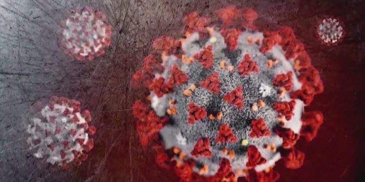 Where the summer COVID-19 infections are hitting hardest