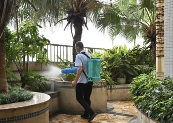 Chikungunya virus in China: What to know