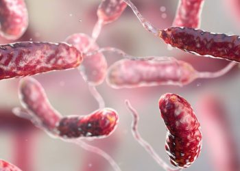 Flesh-eating bacteria: Expert tips for avoiding an infection this summer