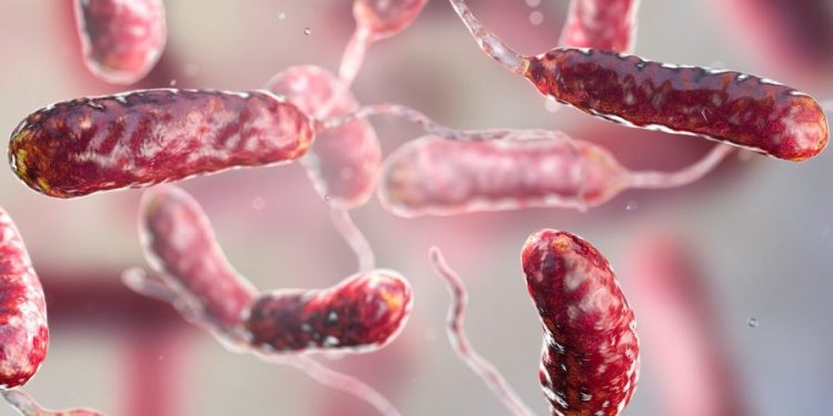 Flesh-eating bacteria: Expert tips for avoiding an infection this summer