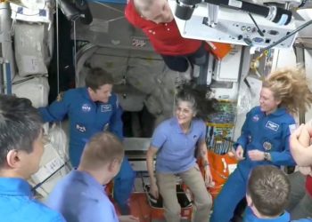 Spaceflight may accelerate the aging of stem cells: Study