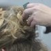 Lice concerns rise as kids return to school. What can parents do?