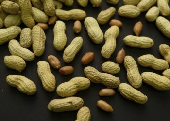 Peanut allergies may be prevented, new research finds
