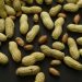 Peanut allergies may be prevented, new research finds