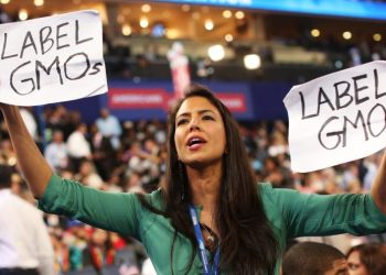 Health activists ramp up war on processed foods amid MAHA movement