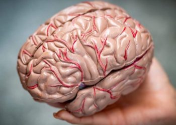 WHO warns of lack of resources to treat neurological disorders