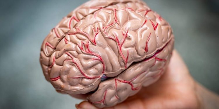 WHO warns of lack of resources to treat neurological disorders