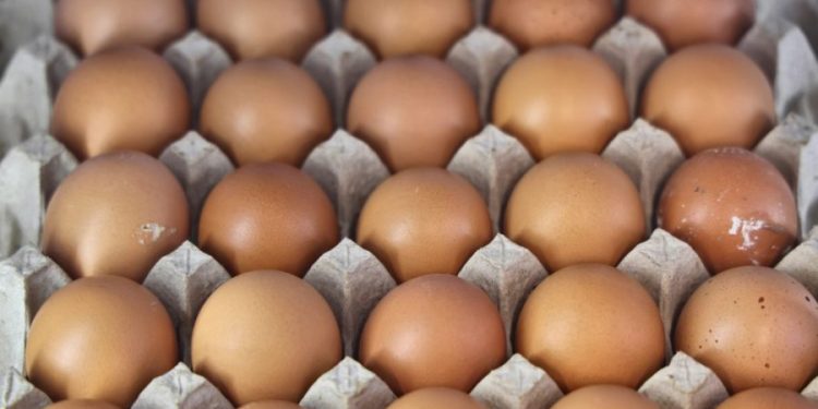 Egg recall expands over salmonella concerns