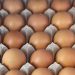 Egg recall expands over salmonella concerns