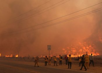 Study finds wildfire smoke reduces sperm quality