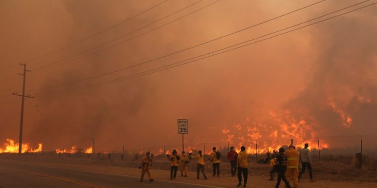 Study finds wildfire smoke reduces sperm quality