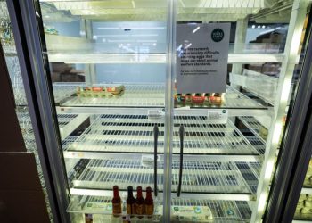 First death reported from rare bird flu strain