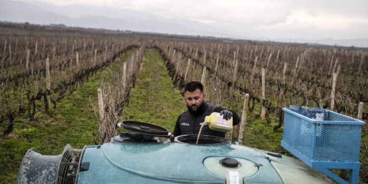 EPA approves pesticide made with a ‘forever chemical’