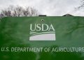 USDA tells states SNAP will be fully funded during appeal