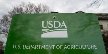 USDA tells states SNAP will be fully funded during appeal