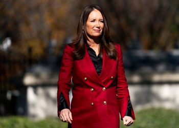 Democrats mock Rollins over chicken, broccoli, tortilla comment 