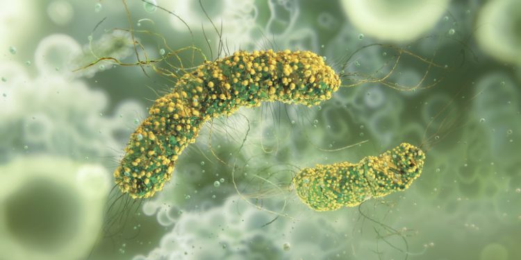 Frozen blueberries recalled in several states under FDA’s highest risk level