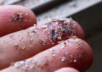 Microplastics found in higher levels in prostate tumor tissue: Research