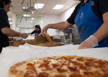 Childhood obesity at a record high as MAHA presses for changes to kids’ diets