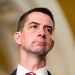 Cotton: Change to marijuana drug classification ‘a step in the wrong direction’