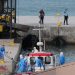 4 states monitoring for hantavirus after deadly cruise ship outbreak