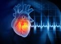 Reps. Davis, Tenney push for genetically targeted heart disease technologies