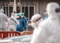Hantavirus can survive in semen 6 years after infection: Study