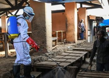 WHO drastically reduces suspected ebola cases in Congo