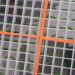 New screwworm case confirmed in Texas