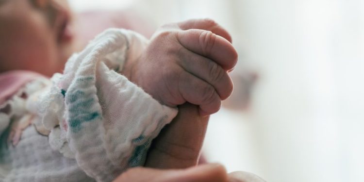 US’s fertility rate has declined since 2007. It’s even worse in these states