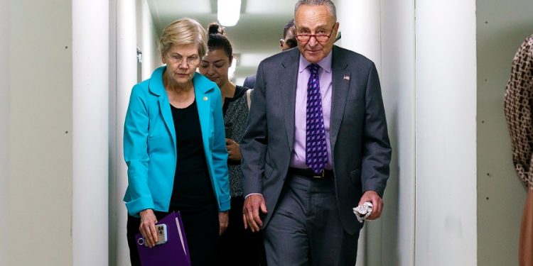 Senate Democrats raise ‘profound concerns’ over Trump administration website for new moms